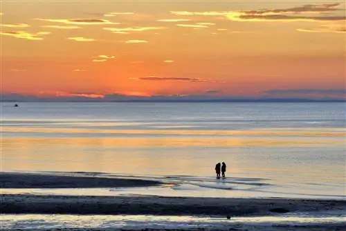 Силуэты двух женщин на фоне заходящего солнца, когда они гребут в воде залива Кейп-Код во время отлива.