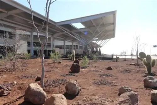 Всю энергию аэропорт получает от солнца и ветра.