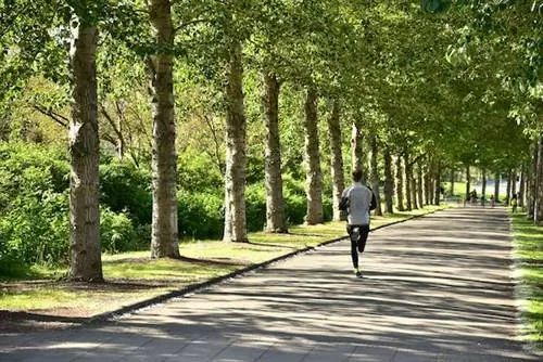 Лучшие открытые площадки Рейкьявика – бесконечные пейзажи в одном городе