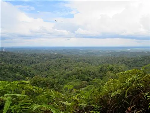 Характеристики - Lambir-Hills-2-fb4eb1148d96