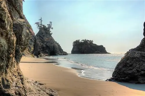 Государственный живописный коридор Сэмюэля Х. Бордмана