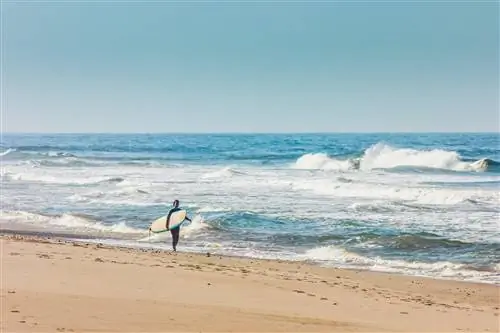 Береговой разрыв