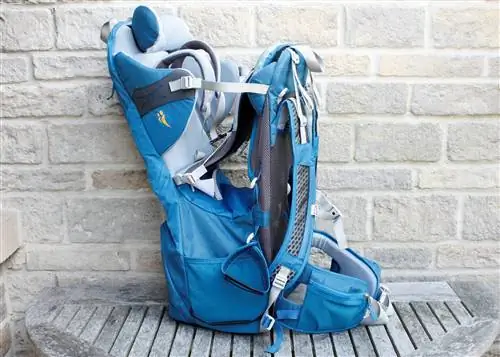 Детская переноска Littlelife Freedom S4