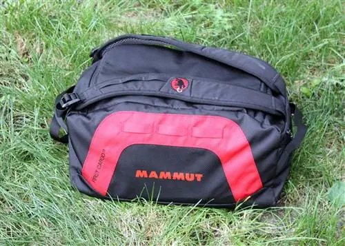 Первый груз Маммута