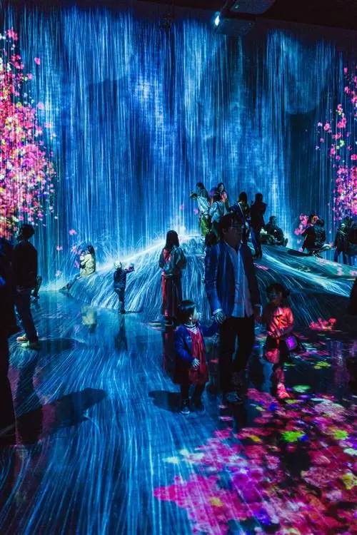 Tokyo teamLab-j.webp