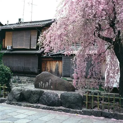 Киото Гион-j.webp