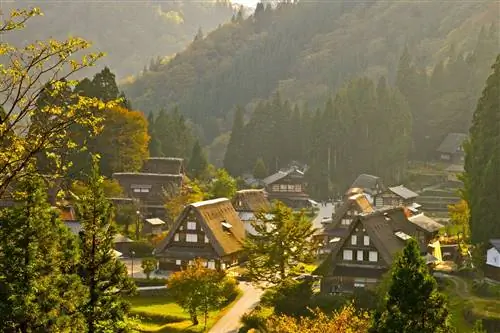 Тояма Гокаяма-j.webp