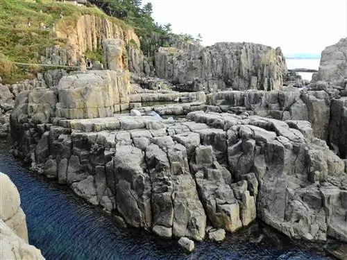 Фукуи Тоджинбо-j.webp