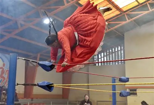 Особенности - БОЛИВИЯ-ЧОЛИТАС-БОРЬБА