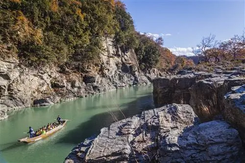 Сайтама Нагаторо-j.webp