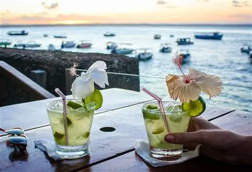 Особенности - 4.-caipirinhas-d21b8fff96a2