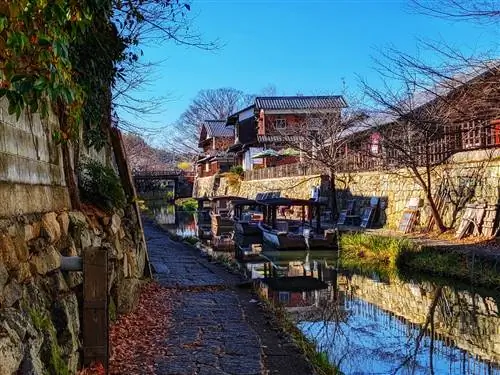 Сига Хатиман Сити-jg.webp