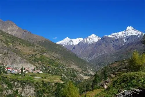 Особенности - DSC_1193-0df28e9d98cb