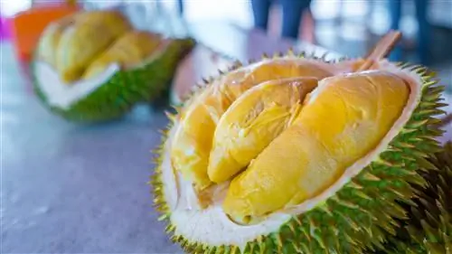 Пара плодов дуриана была разрезана, чтобы показать мясистые части.