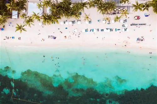 Вид сверху на пляж Алона с мелкими голубыми водами, белой полосой песка и лесом за ним.