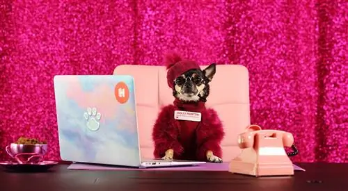 Hotels.com - Creature Critics, Лондон, 30 сентября 2020 г. Hotels.com - Creature Critics, Лондон, 30 сентября 2020 г.