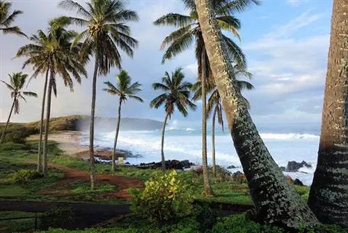 Гавайи выделяют миллионы на улучшение широкополосной связи для привлечения туристов