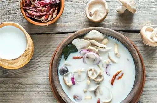 Любовь с первого кусочка: наши незабываемые блюда с дороги
