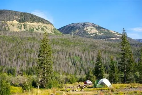 5 лучших мест для кемпинга рядом с крупными городами США