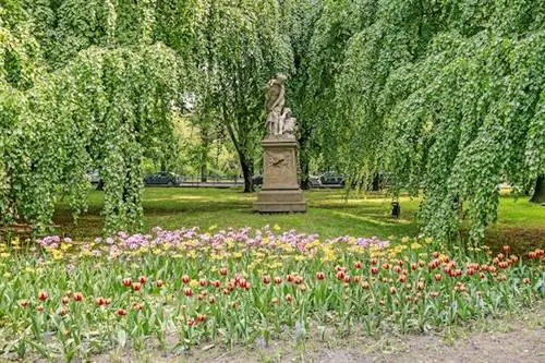 10 мест для встреч под открытым небом в Кракове