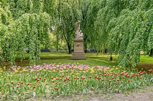 Особенности - planty-krakow-shutterstock-3000-cs-dd9686285ee1