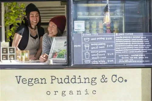 Сора и Хиро запустили Vegan Pudding & Co в 2011 году.
