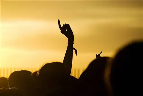 Особенности - Оружие подняли люди на музыкальном фестивале