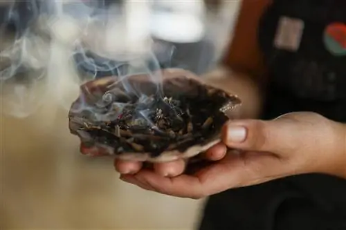 Смазывание ресторана Owamni от The Sioux Chef шалфеем из скорлупы Смазывание ресторана Owamni от The Sioux Chef шалфеем из скорлупы