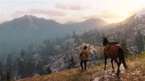 Главный герой из видеоигры Red Dead Redemption 2 и его лошадь стоят на холме с видом на холмистую местность и пустынные ландшафты Дикого Запада.