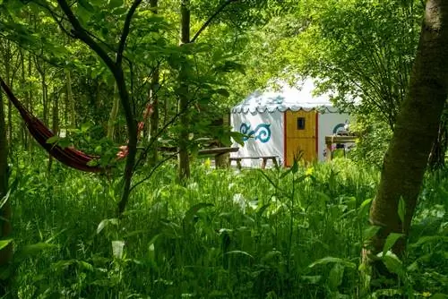 Круглая отдельно стоящая палатка стоит в уединенном лиственном лесу.