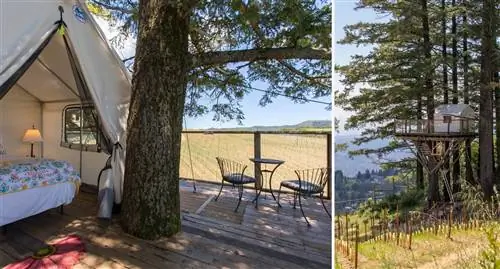 Вид на дом на дереве Lago Lomita Vineyard, Лос-Гатос, Калифорния, США