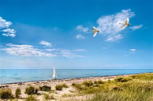 Особенности - fehmarn-cs-eb5f8b2b1c5d