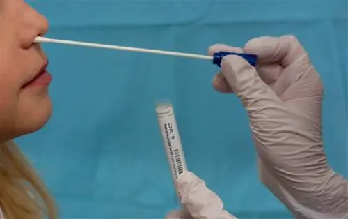 Врач берет мазок из носоглотки на COVID-19 у мальчика-блондина