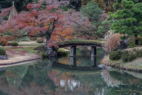 Декоративный мост пересекает стоячую воду в токийских садах Рикуги-эн, где осенние краски окрашивают деревья в оранжевый и темно-красный цвета.