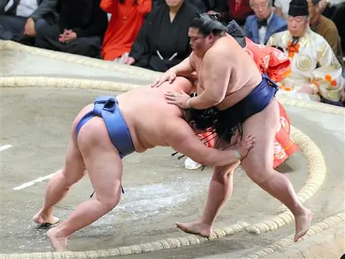 В драматический момент на борцовском ринге, окруженном солью, один борец сумо наклоняется вперед, чтобы броситься на своего противника, который сопротивляется, с сосредоточенным видом.