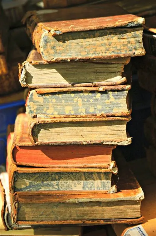 Стопка подержанных книг в Париже, Франция