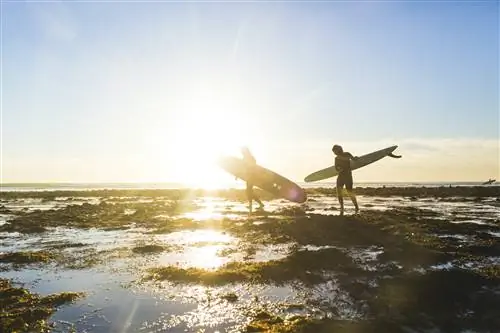 Пара с досками для серфинга во время прогулки по государственному пляжу Сан-Онофре