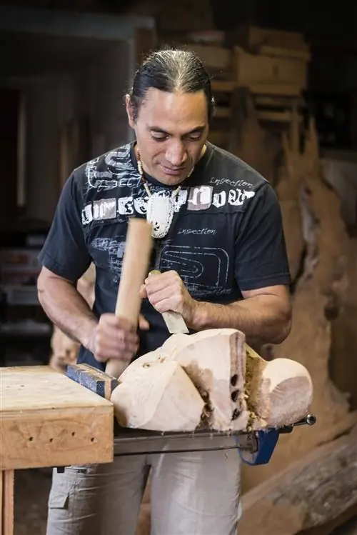 Особенности - Maori Carpenter, Таупо, Северный остров, Новая Зеландия