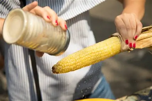 Крупный план женщины, держащей жареную желтую мексиканскую кукурузу и трясущейся приправой, наполненной чесночной солью чили