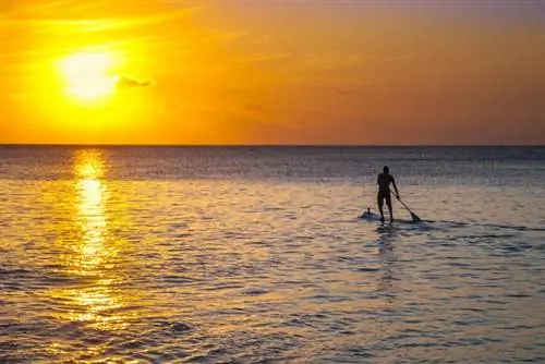 Стоящий гребец на закате, пляж Консейсао в Фернанду-де-Норонья.