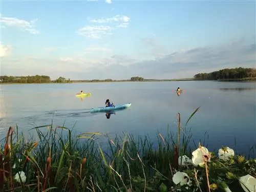 Заповедник дикой природы Блэкуотер_Tubman Byway_Credit Управление по туризму Мэриленда-jg.webp