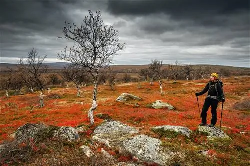Туристка останавливается среди красочной осенней тундры и драматического неба в Лапландии, Финляндия.