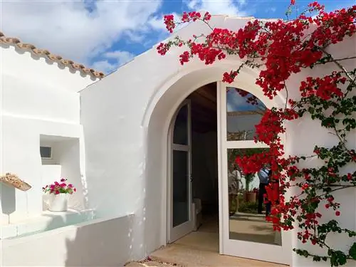 Дверной проем в каменном здании с белыми стенами, по стенам которого сползают красные цветы.