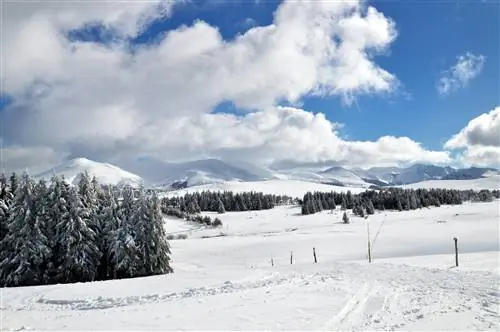 горный и вулканический снежный пейзаж в Оверни
