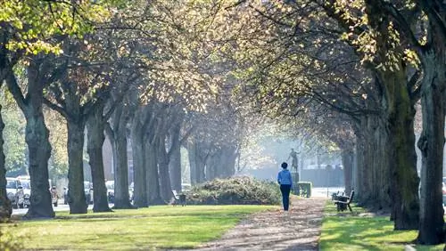 Женщина, идущая одна в саду Frederiksberg Have, Копенгаген, Дания