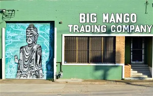 Внешний вид магазина Big Mango Trading Company в районе Dallas Design District