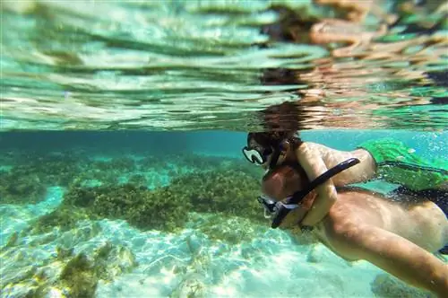 Изучение подводного мира