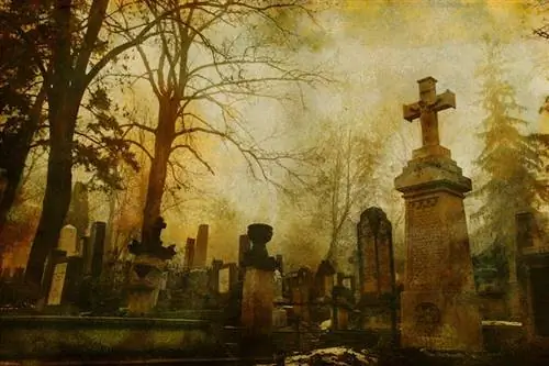 Фотография в оттенках сепии надгробий старого кладбища и голых ветвей деревьев; мир мест с привидениями