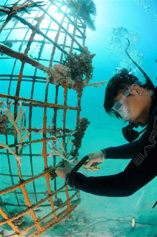 Возможности - GettyImages-128933304_full-bd8c67e87c7e