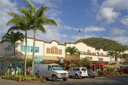 Автомобили и магазины на рынке Северного берега, Халейва